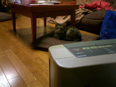 b0083708_1816989.jpg