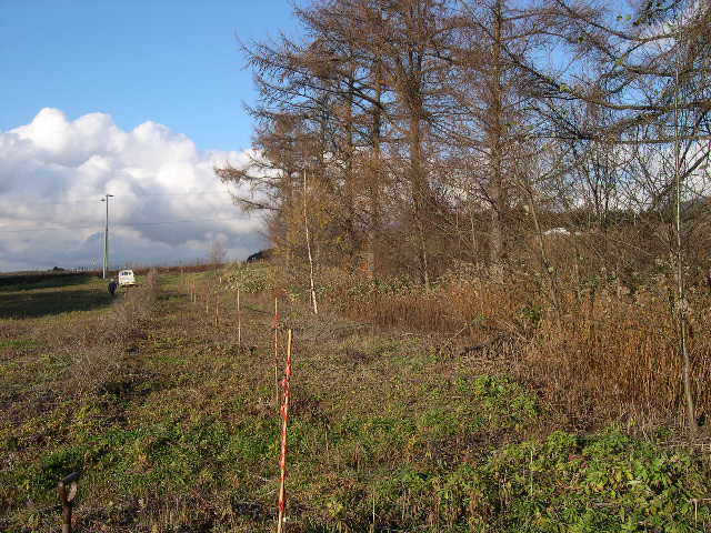 a0089814_791856.jpg