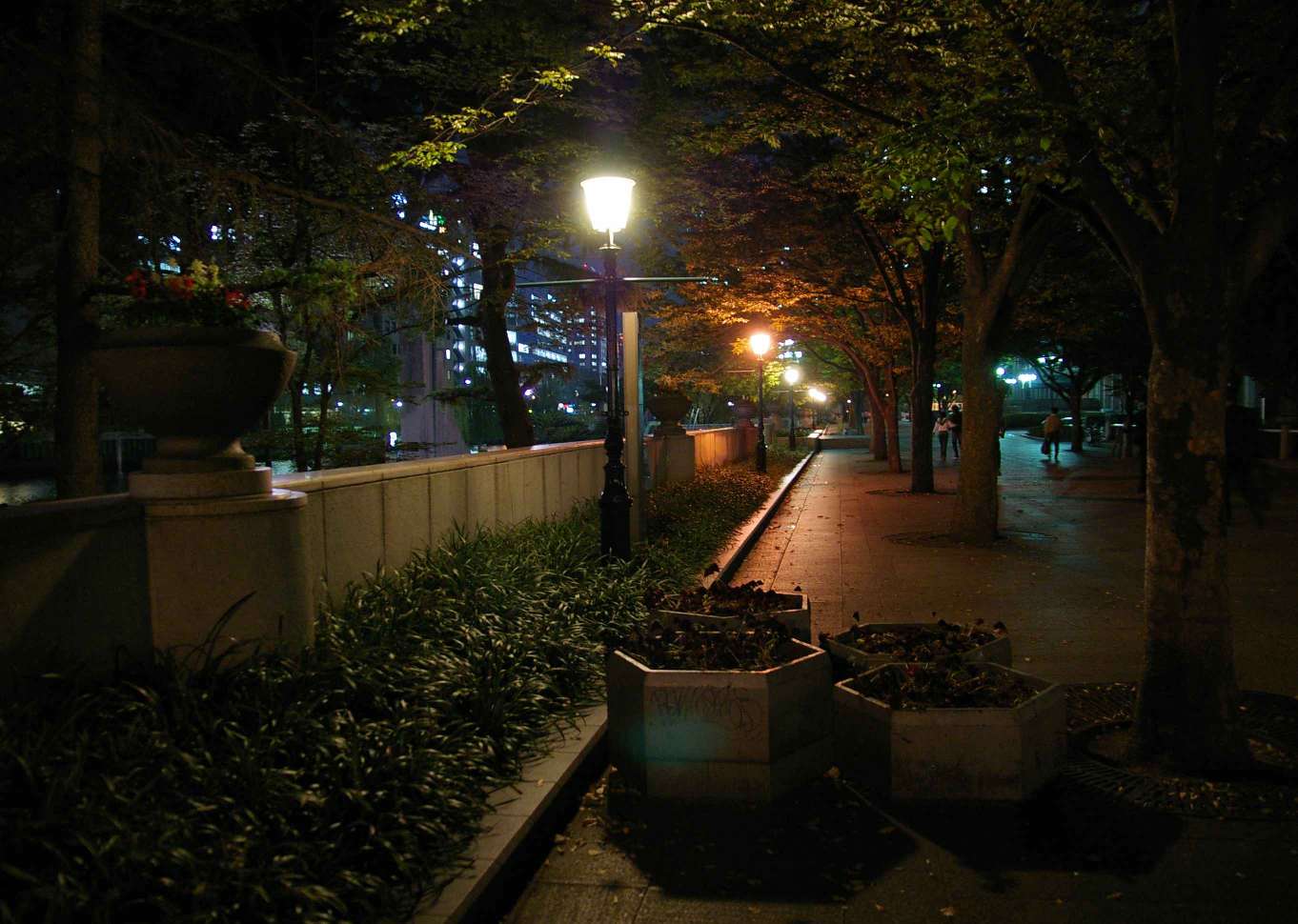 b0069128_8215657.jpg