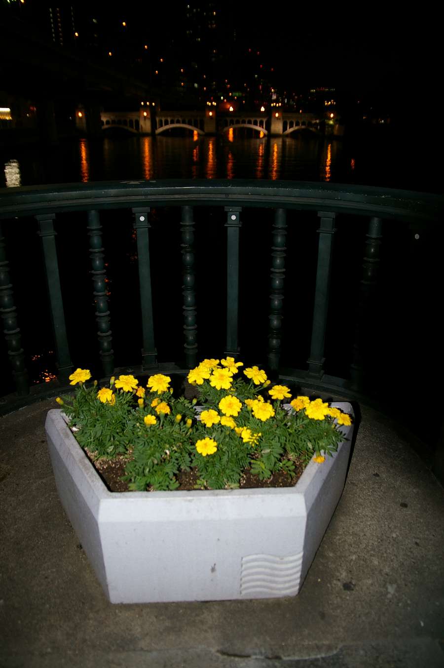 b0069128_838010.jpg
