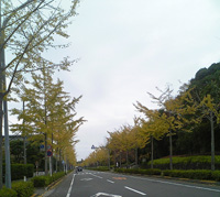 a0029843_19514175.jpg