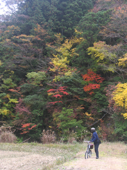 美しい秋の路を辿る・・・北山_a0014853_16445712.jpg