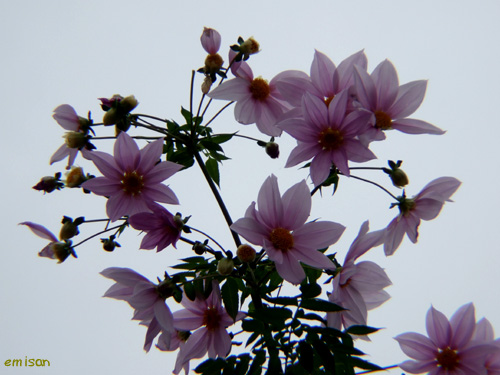 b0051253_750422.jpg