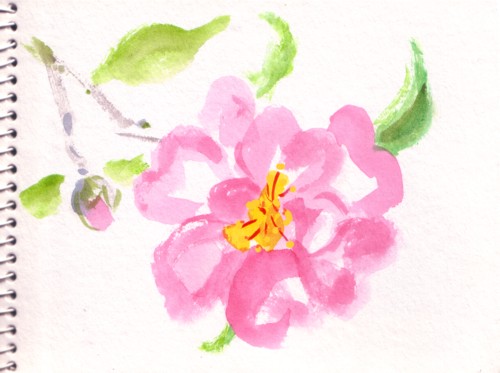 大輪の山茶花_e0074955_18503598.jpg