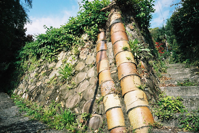 小径_c0054876_7191944.jpg