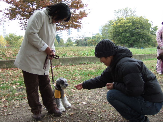 Dog School Report (44)　少数精鋭（？）_e0009283_15303417.jpg