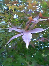 f0097397_22321946.jpg