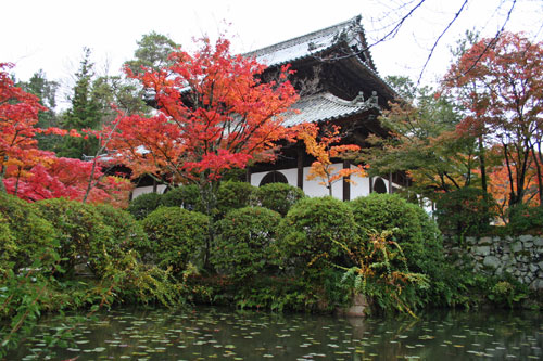 宝福寺_c0037204_22153715.jpg