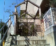 b0071405_944128.jpg