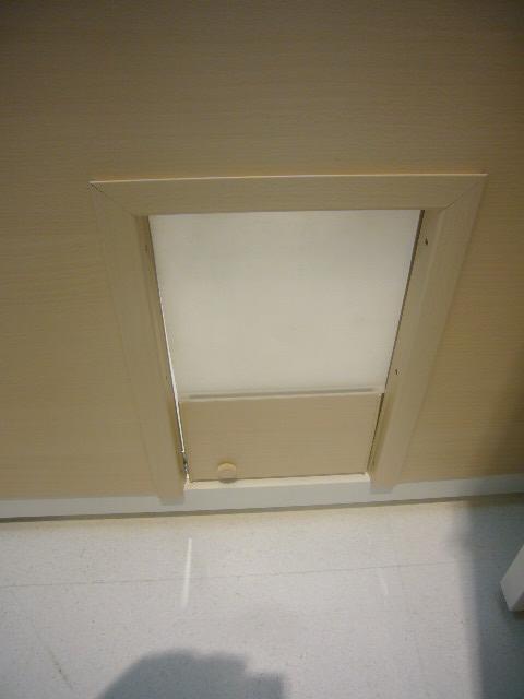 ペットのドア_c0074407_2057988.jpg