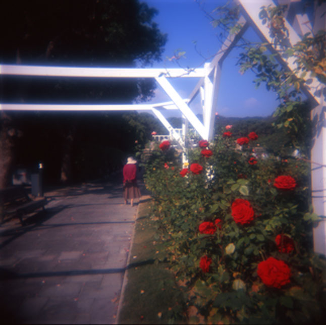 e0065307_22184274.jpg