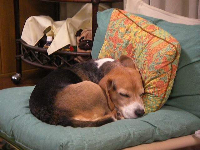 f0038407_23421921.jpg