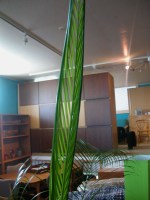 c0100110_13564521.jpg