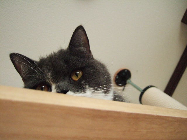 f0032020_16255077.jpg