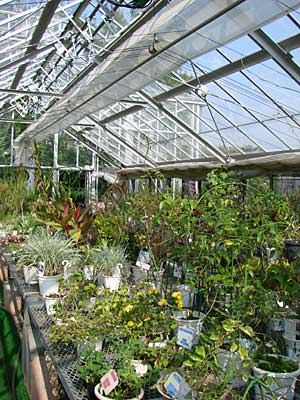 e0001735_05919.jpg