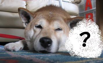 お待たせしました~!_c0049950_1474533.jpg