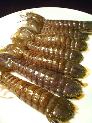 カマキリな海老 蝦蛄 しゃこ グンジ家の食卓