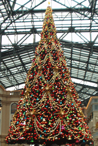 b0076085_685923.gif