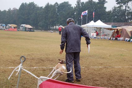 f0094391_23333428.jpg
