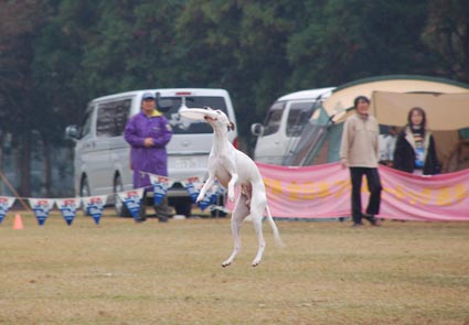 f0094391_23344428.jpg
