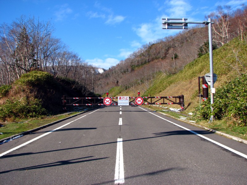 f0020302_17475115.jpg