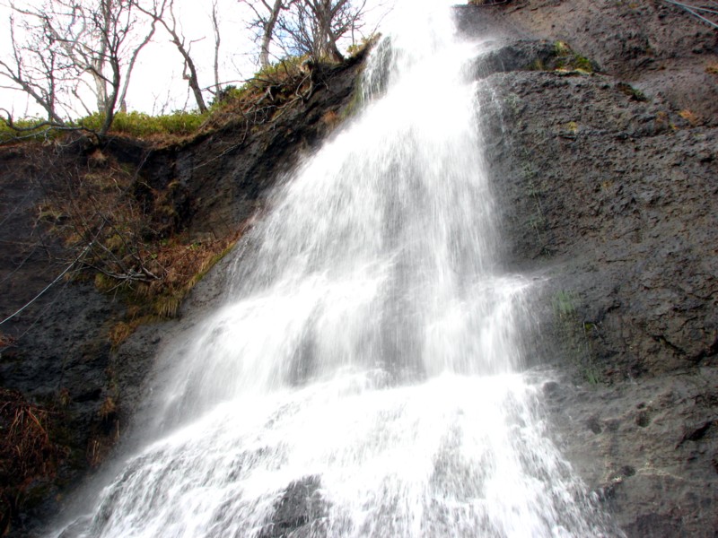 f0020302_1757199.jpg