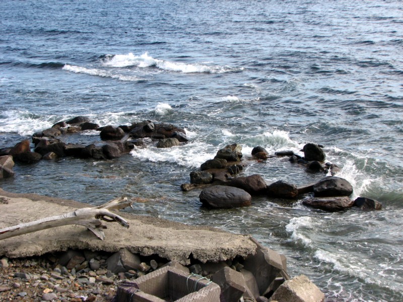 f0020302_1757445.jpg