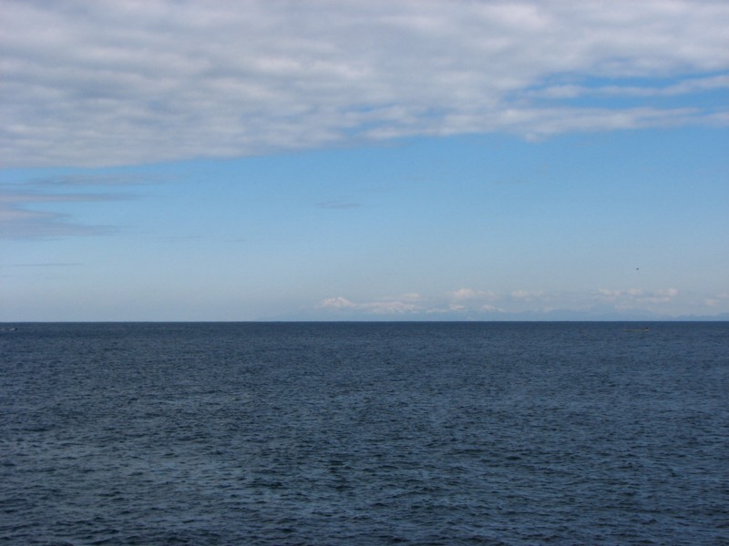 f0020302_1833124.jpg