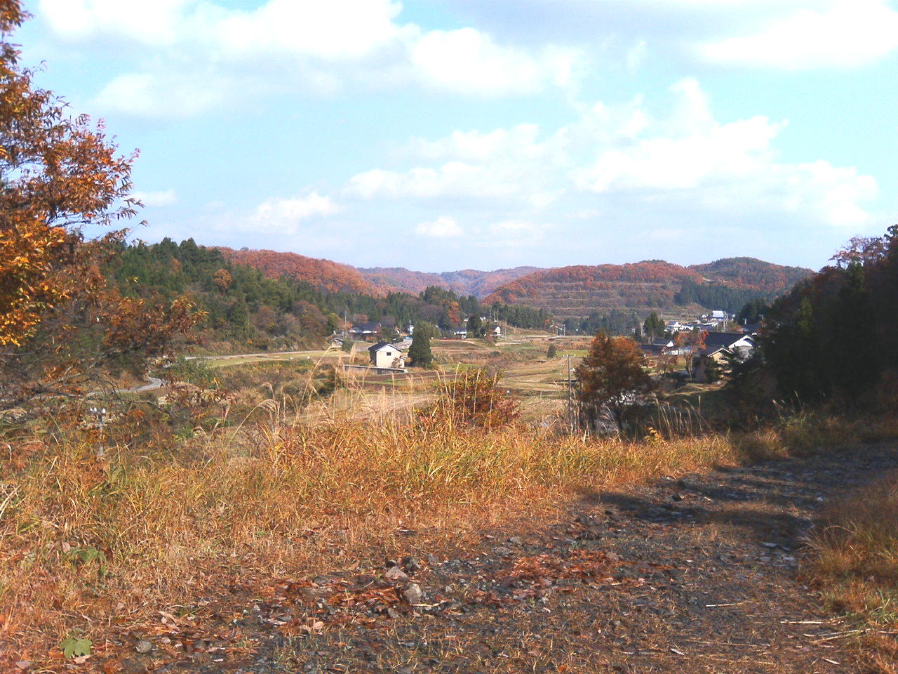 a0072808_16384775.jpg