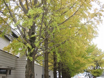 e0058913_22464662.jpg