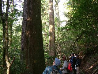 e0101917_21313350.jpg