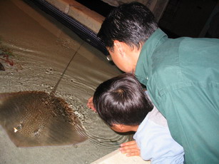 SHARK REEF_f0105318_14574149.jpg