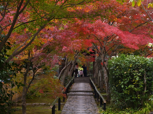 紅葉巡り2006～京都･光悦寺～_e0080133_22262356.jpg