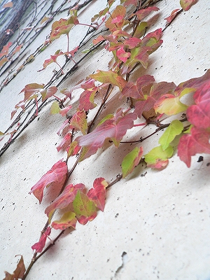 f0029038_0413862.jpg