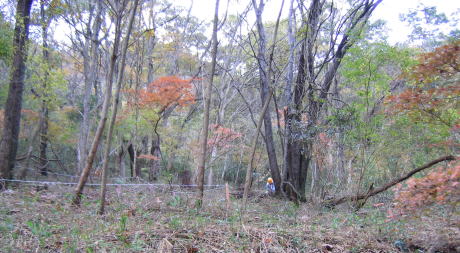 e0049740_20222771.jpg
