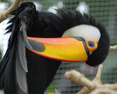 神戸花鳥園 自然の写真帖