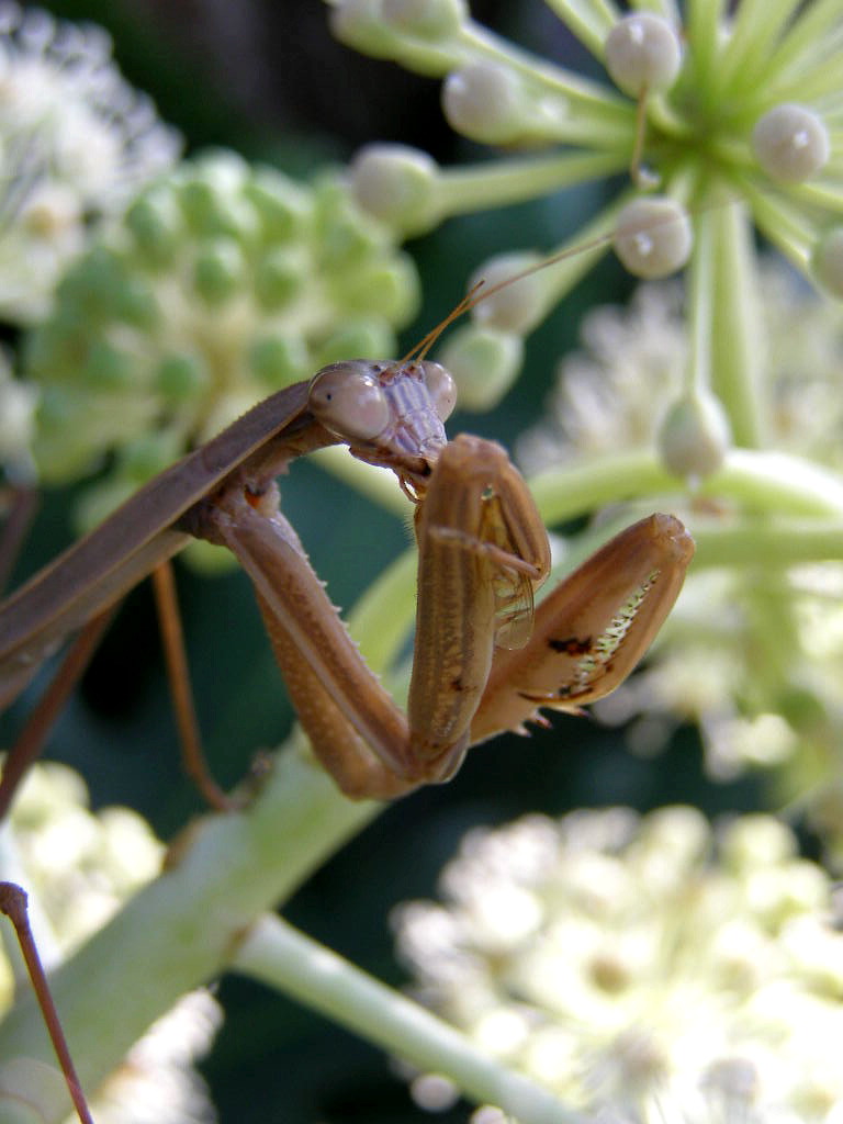 e0064158_11671.jpg