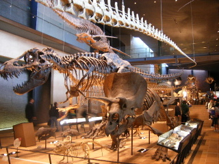 f0043559_1930342.jpg