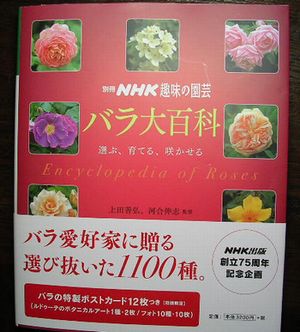 １１月２１日（火）・・・お買い物_f0060461_5423973.jpg