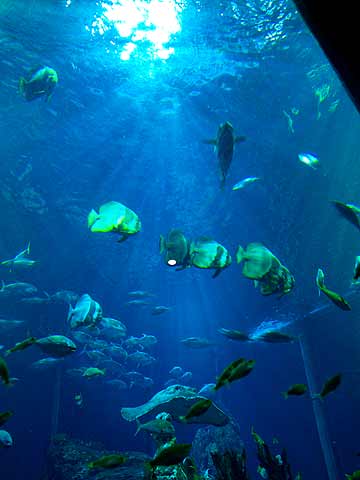 d0056263_813082.jpg