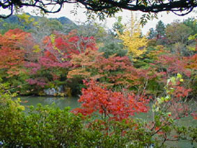 閑話 紅葉ツアー_c0104265_20164640.jpg