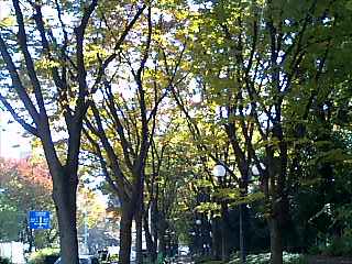 b0103668_17484382.jpg