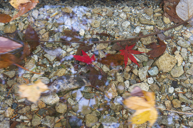 c0054876_6564928.jpg