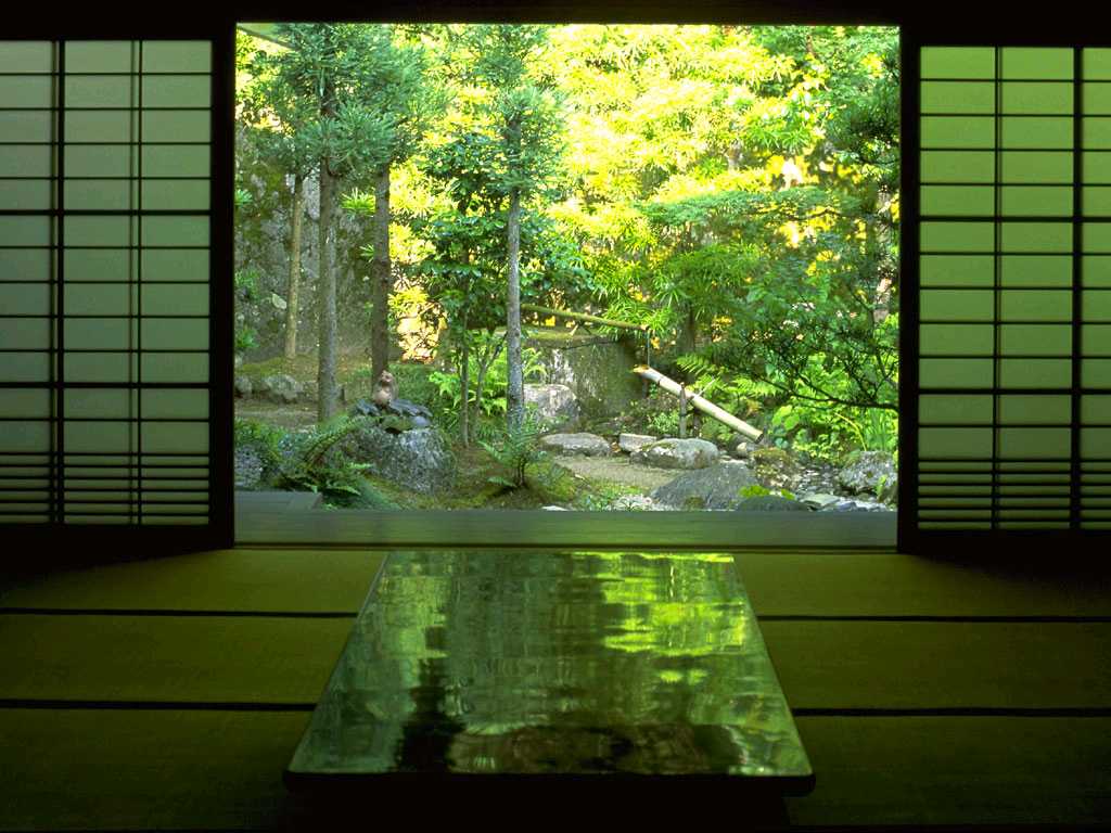 風景６ 虫食い日誌 大食いむしむし