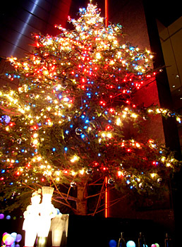 a0011280_0132241.jpg