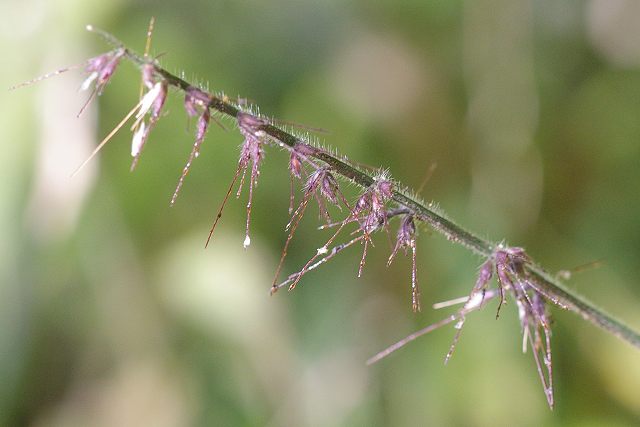 e0070891_18531739.jpg