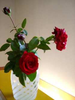 e0013399_202511.jpg