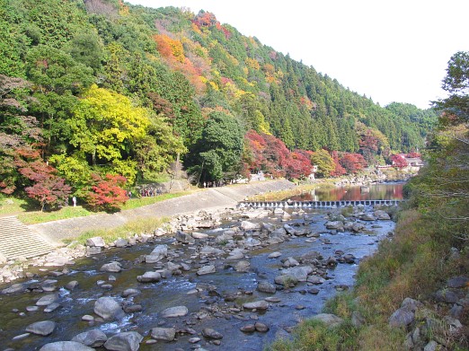 紅葉サイクリング　第２弾前半　－香嵐渓－_e0075403_21826.jpg