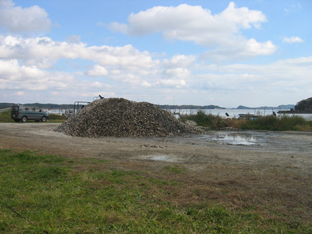 e0073808_20371221.jpg