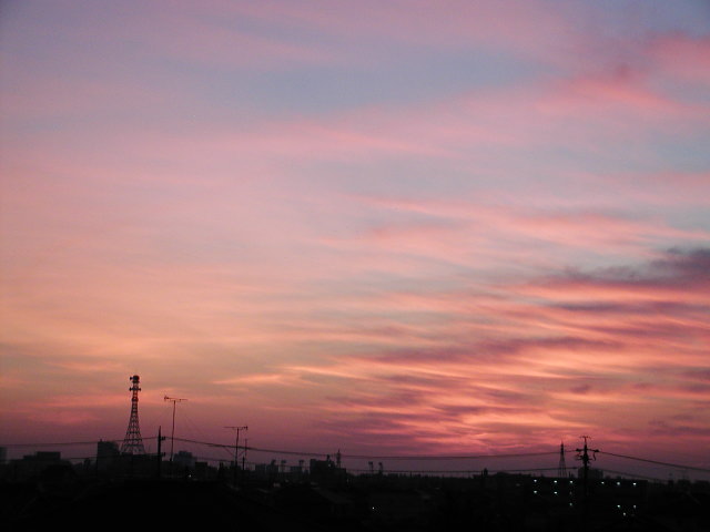 a0030713_20394990.jpg
